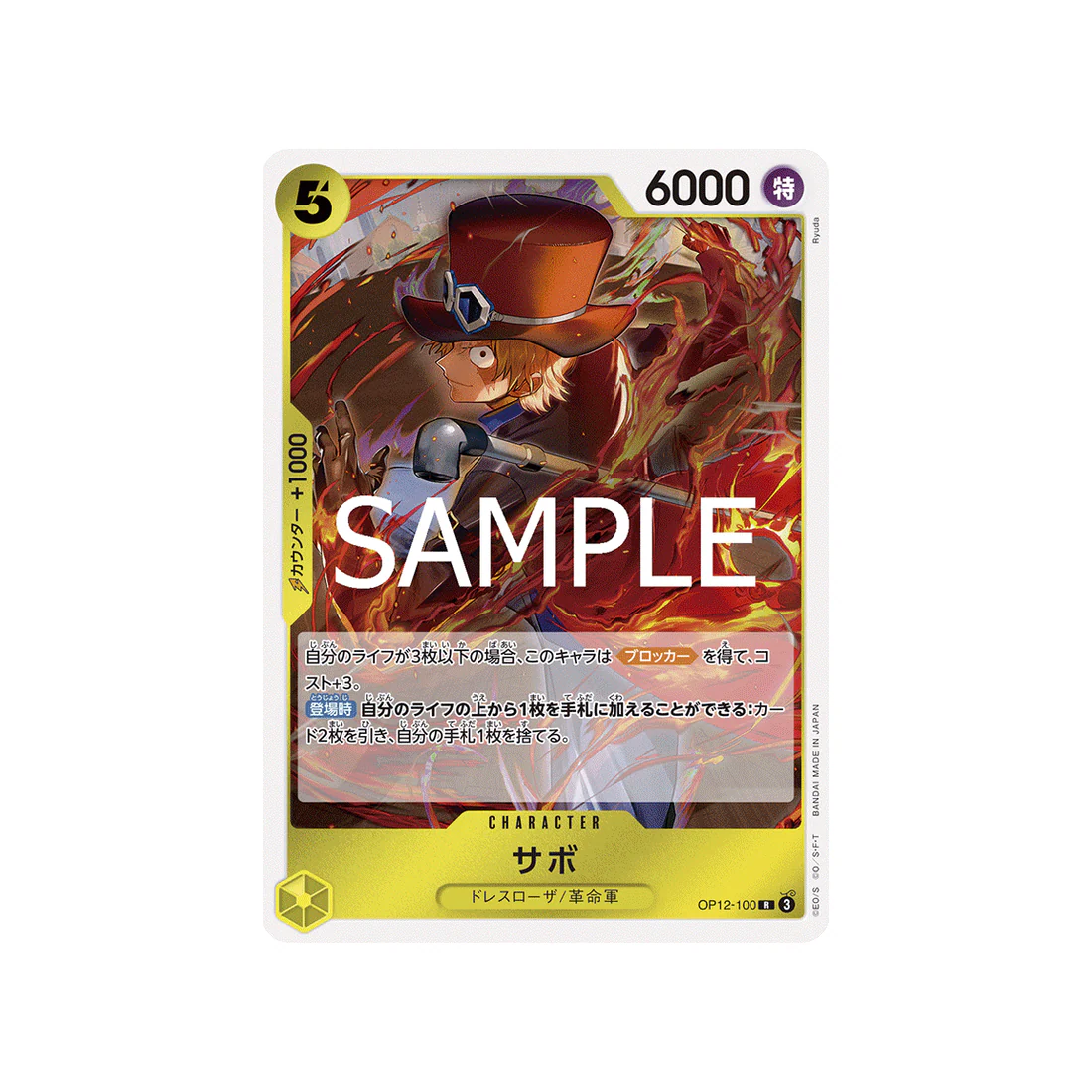 Image du produit 1